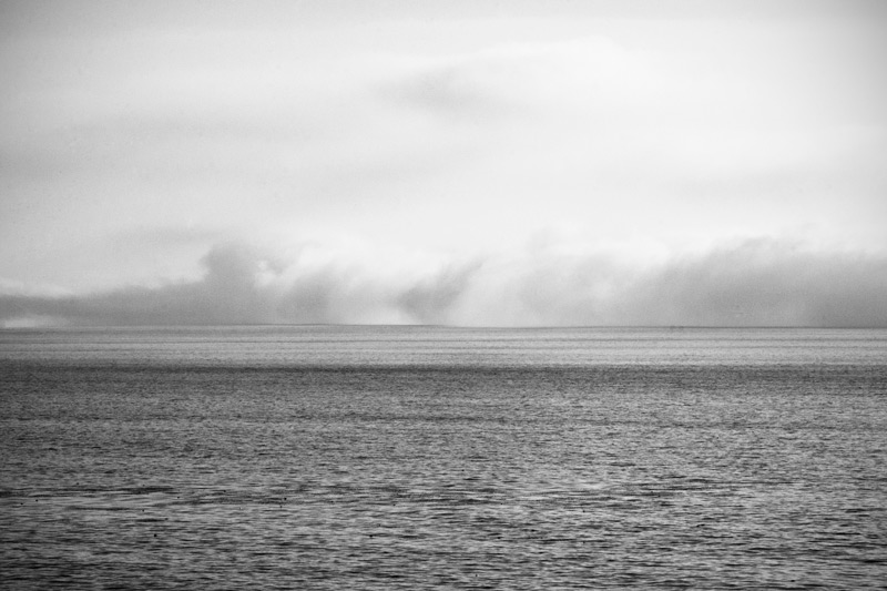 Luke-VanVoorhis-2013-The-Fog-Rose-High-IMG_7022
