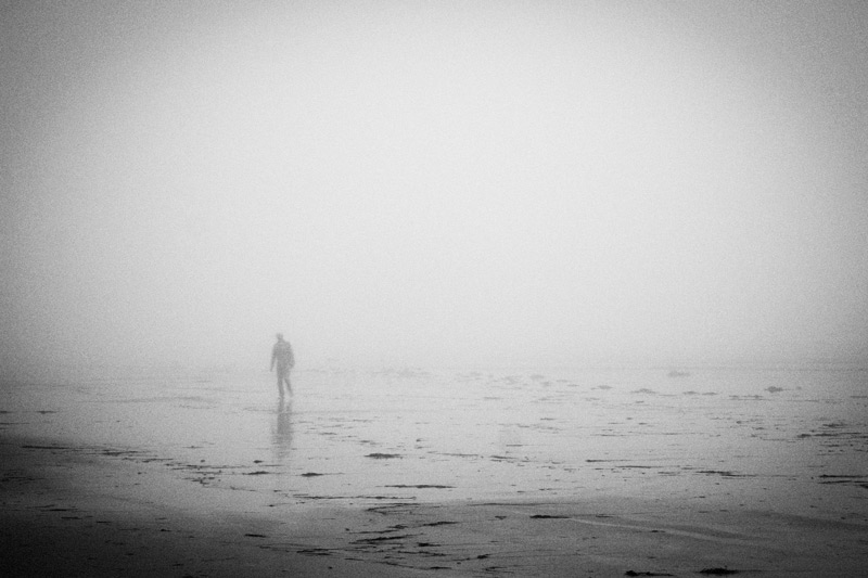 Luke-VanVoorhis-2013-The-Fog-Rose-High-IMG_7038